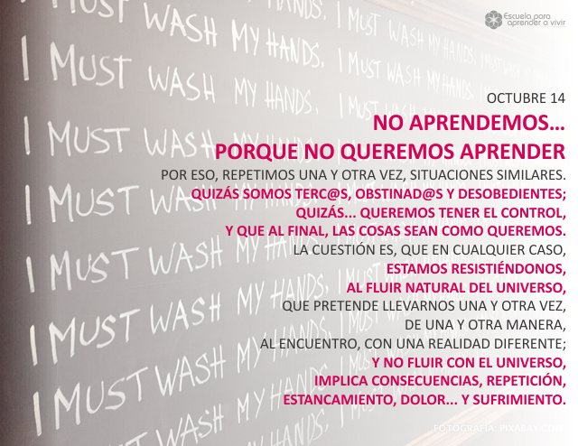 No aprendemos... porque no queremos aprender